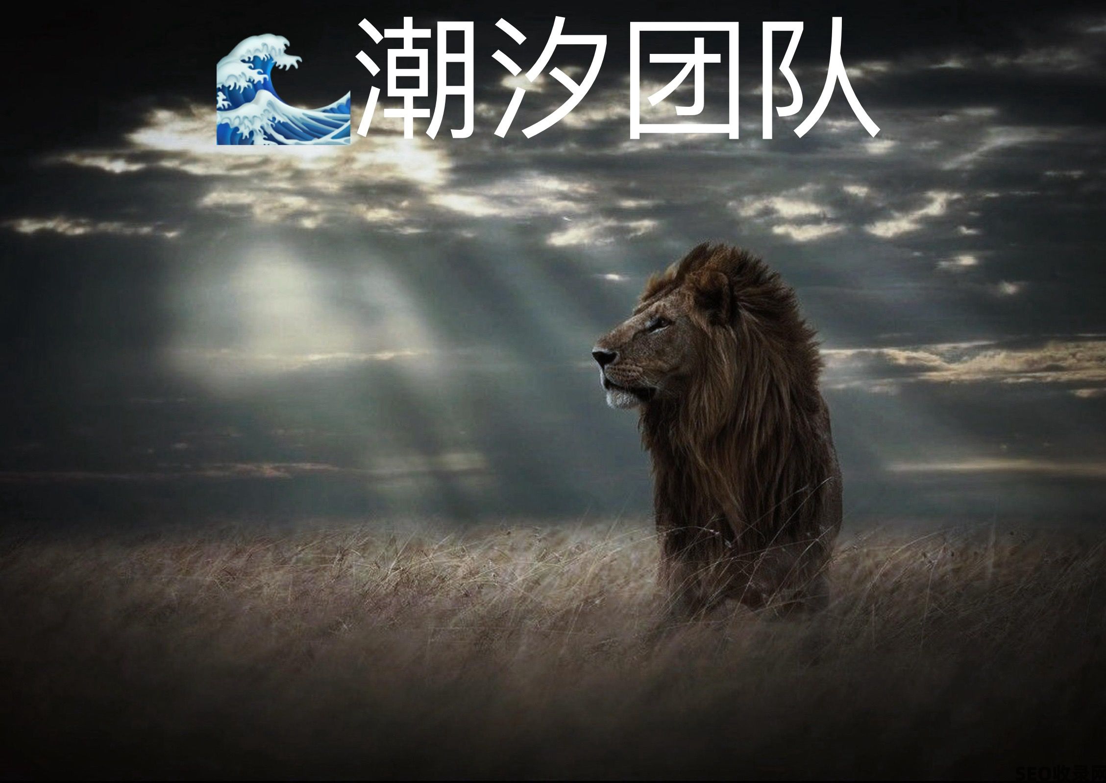 潮汐权益网