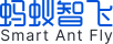 蚂蚁智飞